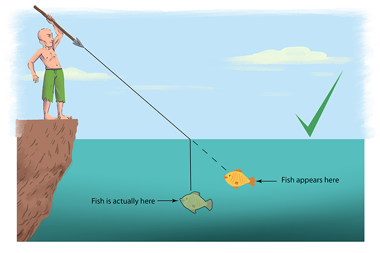 Actual position of the fish as a result of refraction.